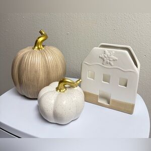 Decorative Pumpkins and House Set